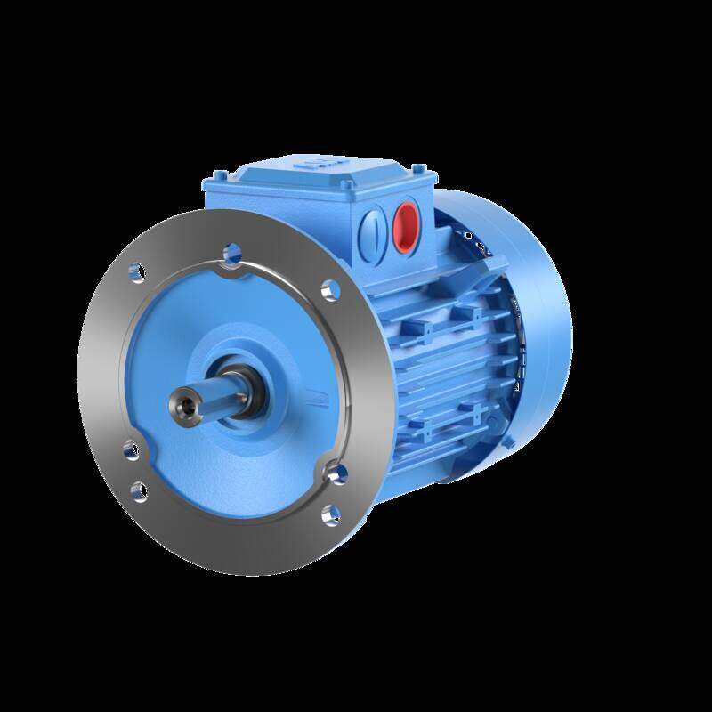 3-Phase squirrel cage motor