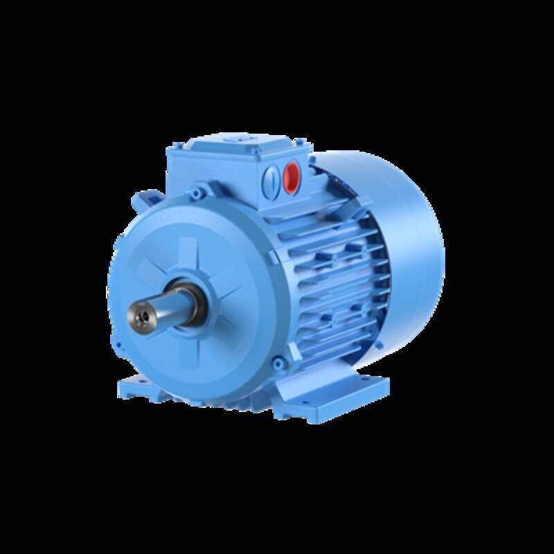 3-Phase squirrel cage motor