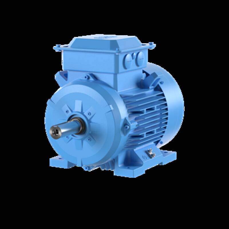 3-Phase squirrel cage motor