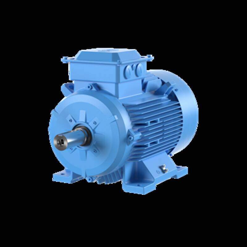3-Phase squirrel cage motor