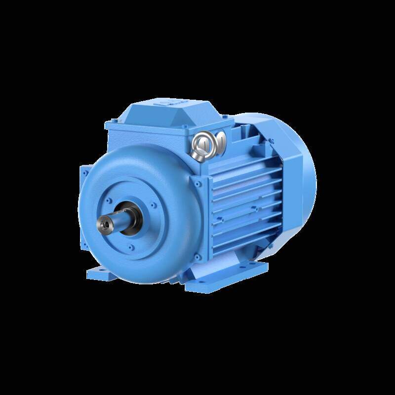 3-Phase squirrel cage motor